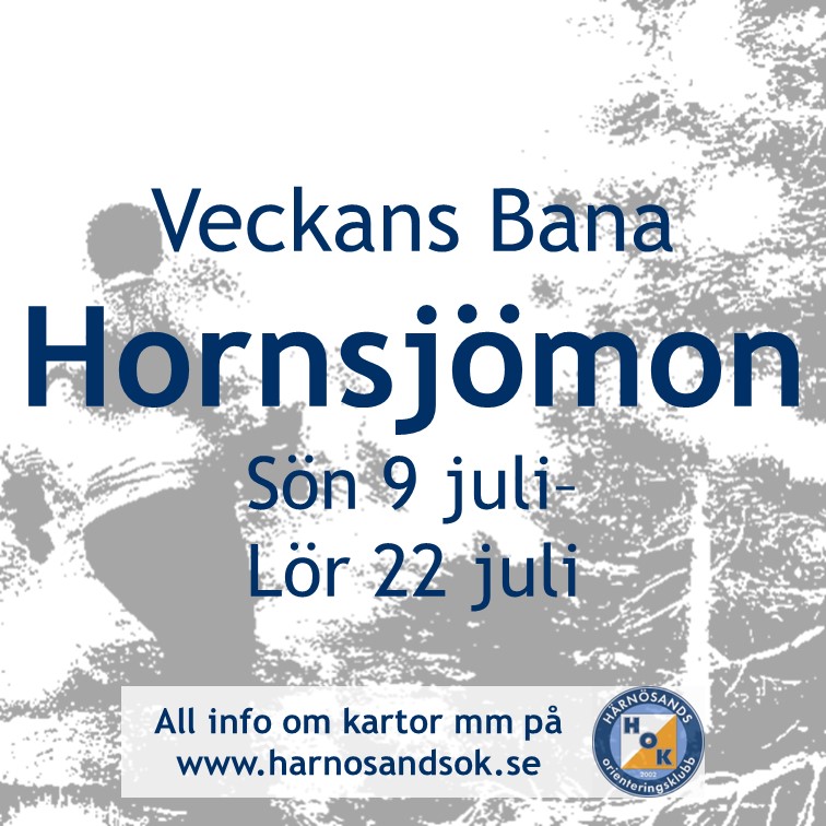 image: Veckans bana - Hornsjömon