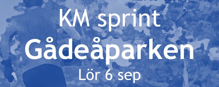 image: KM Sprint