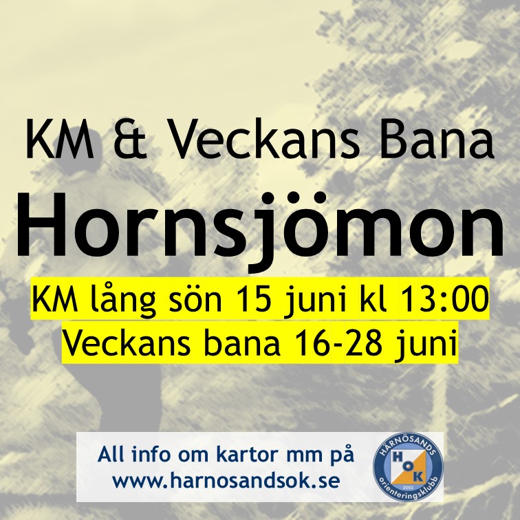 image: Klubbmästerskap och Veckans bana på Hornsjömon!